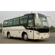 8m Long Rear Engine 35 Seaters Bus with Air Suspension
